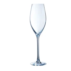 Flûte 24 cl Séquence
