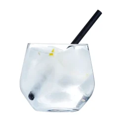 Verre 36 cl Vinetis